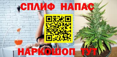 гашик Дубна