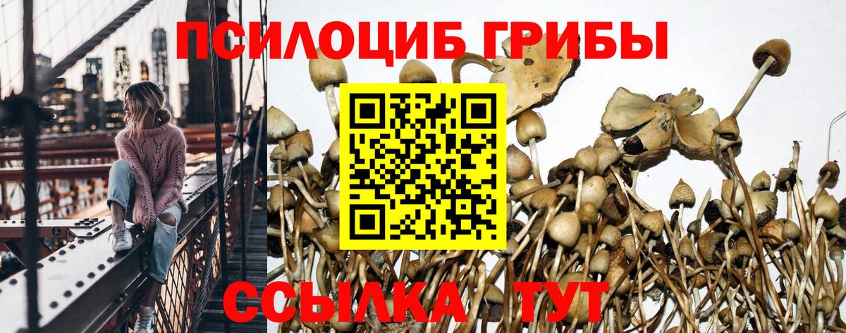 Псилоцибиновые грибы ЛСД Людиново